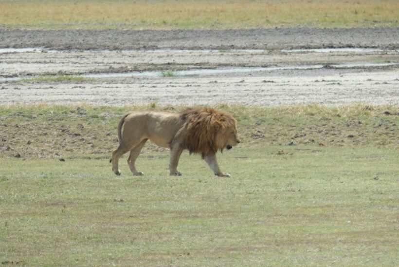 471855292_10163235314170409_4218775740426291530_n