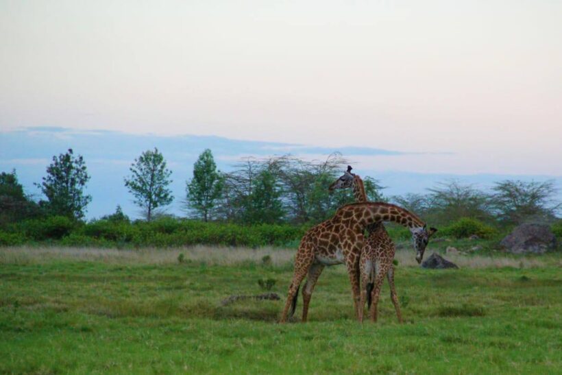 73310827_10158049332175409_626421787575451648_n