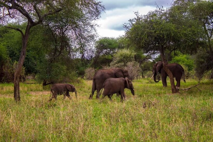 75210648_10158049420485409_5198785971658686464_n